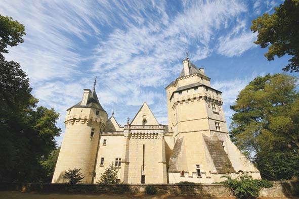 Le château de Ternay a hérité d’une sorte de beauté brute d’une extrême exigence qui donne à ce lieu tout son caractère. 