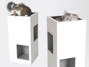 Intellato : Une librairie géométrique offre aux chats les plus exigeants un repos en hauteur à proximité de vos livres préférés.